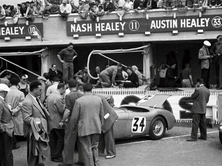 Nash-Healey, Le Mans 1953